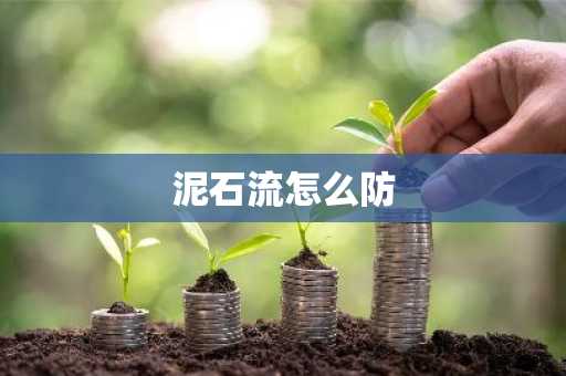 泥石流怎么防-第1张图片-芙蓉之城