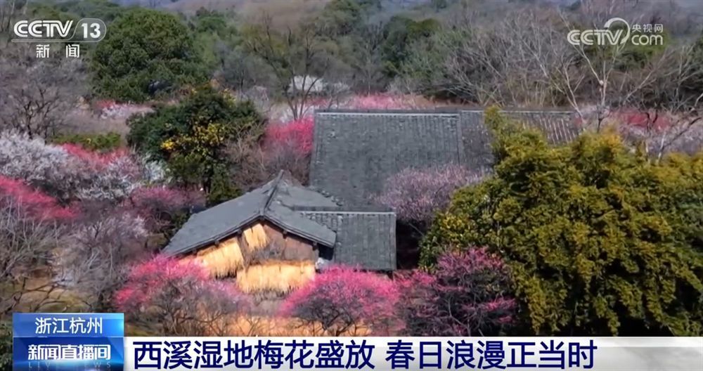 “赏花经济”带动文旅市场春潮涌动 为城乡消费注入蓬勃动能-第7张图片-芙蓉之城