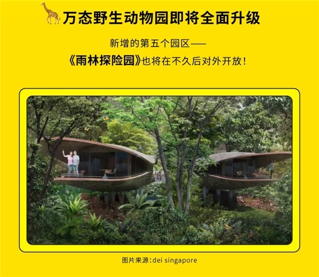 春意盎然，去哪儿携手新加坡旅游局，邀请中国游客开启「新」一年的旅行-第3张图片-芙蓉之城