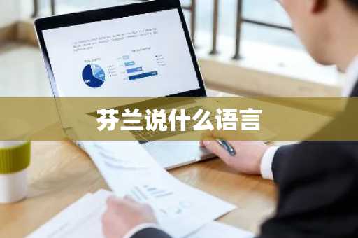 芬兰说什么语言-第1张图片-芙蓉之城