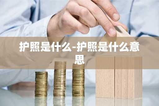护照是什么-护照是什么意思-第1张图片-芙蓉之城