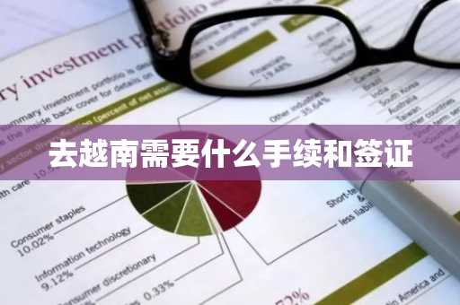 去越南需要什么手续和签证-第1张图片-芙蓉之城
