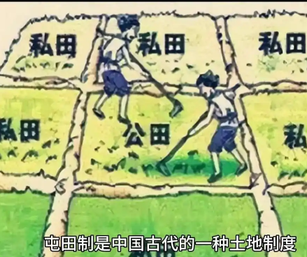 曹魏屯田制：内容与意义深度解析-第1张图片-芙蓉之城
