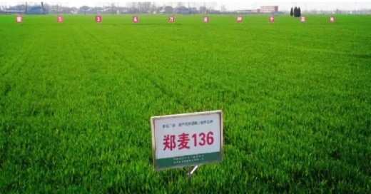 听春耕新事，“建”金融力量-第3张图片-芙蓉之城