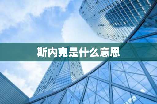 斯内克是什么意思-第1张图片-芙蓉之城