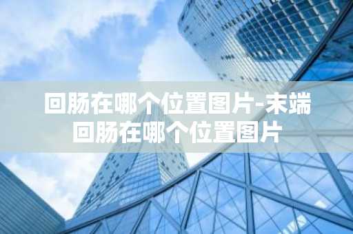 回肠在哪个位置图片-末端回肠在哪个位置图片-第1张图片-芙蓉之城