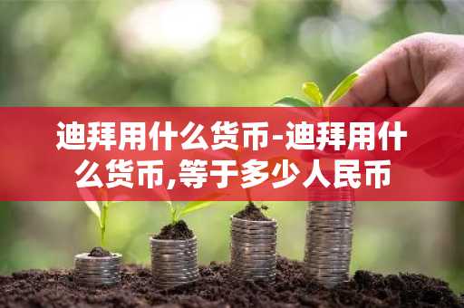 迪拜用什么货币-迪拜用什么货币,等于多少人民币-第1张图片-芙蓉之城
