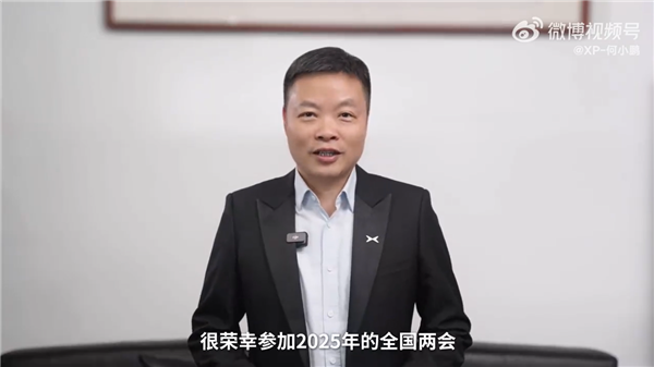 何小鹏预测：中国新能源车市场占有率未来将超95%-第1张图片-芙蓉之城