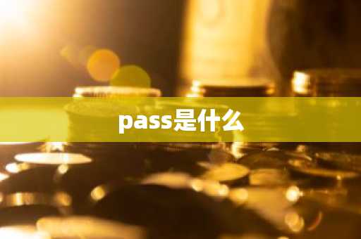 pass是什么-第1张图片-芙蓉之城