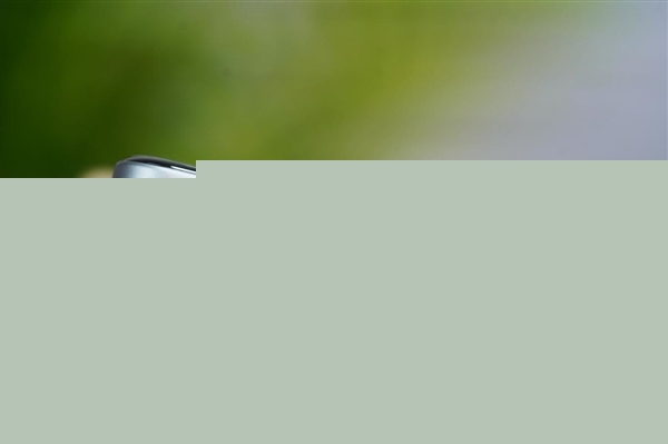 小米16 Pro重磅升级：第一次3D打印手机中框-第2张图片-芙蓉之城
