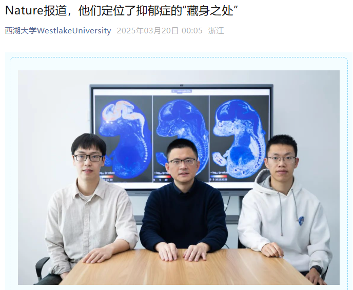西湖大学杨剑团队开发gsMap技术精确定位脑疾病相关细胞-第1张图片-芙蓉之城