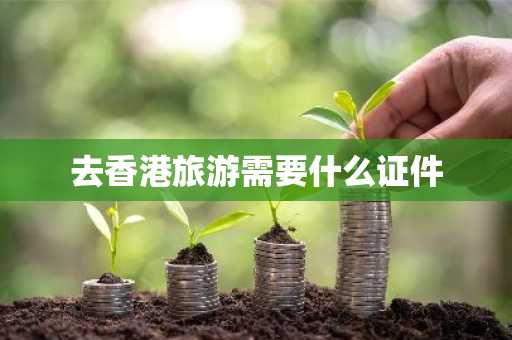 去香港旅游需要什么证件-第1张图片-芙蓉之城