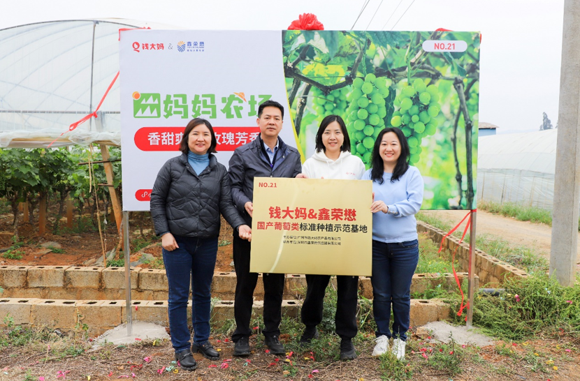 钱大妈与鑫荣懋携手共建，蓝莓和国产葡萄类标准种植基地正式揭牌-第5张图片-芙蓉之城