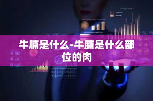 牛腩是什么-牛腩是什么部位的肉-第1张图片-芙蓉之城