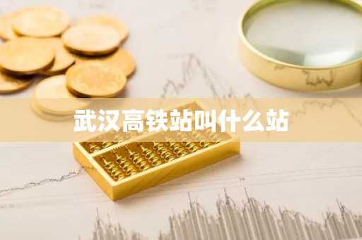 武汉高铁站叫什么站-第1张图片-芙蓉之城