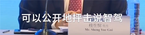 吉利桂生悦：有车企先说智驾是骗局 现在东拼西凑又称引领-第2张图片-芙蓉之城