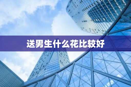 送男生什么花比较好-第1张图片-芙蓉之城