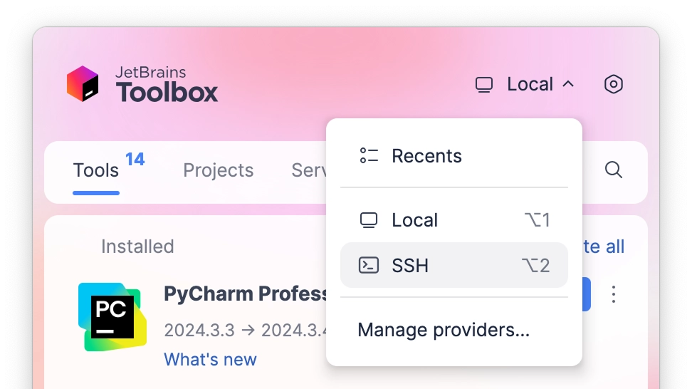 JetBrains Toolbox App 2025.1 EAP新增远程开发环境管理功能-第1张图片-芙蓉之城