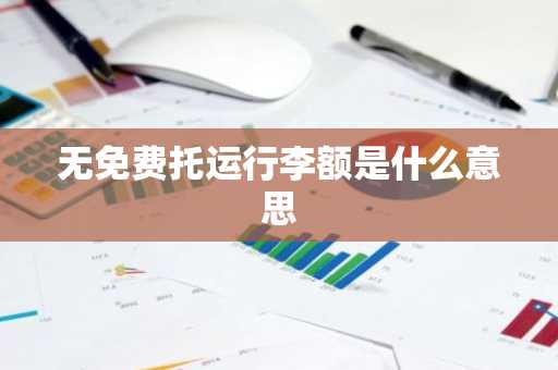 无免费托运行李额是什么意思-第1张图片-芙蓉之城