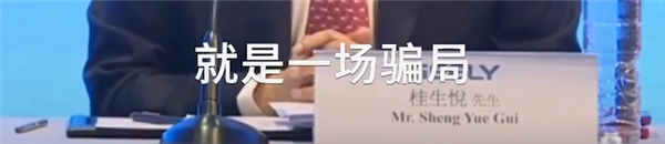 吉利桂生悦：有车企先说智驾是骗局 现在东拼西凑又称引领-第3张图片-芙蓉之城