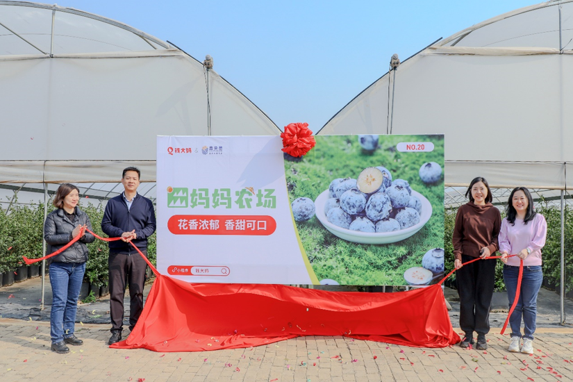 钱大妈与鑫荣懋携手共建，蓝莓和国产葡萄类标准种植基地正式揭牌-第4张图片-芙蓉之城