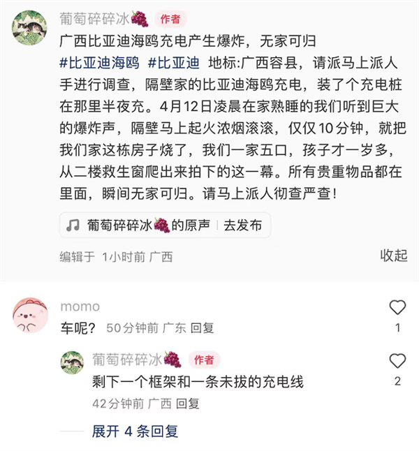 造谣海鸥充电时起火爆炸 比亚迪法务部：一网民已被行拘-第3张图片-芙蓉之城
