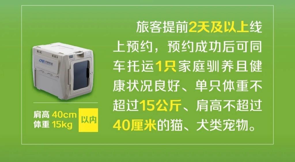 高铁也能带“毛孩子”啦！宠物托运服务十问十答-第2张图片-芙蓉之城