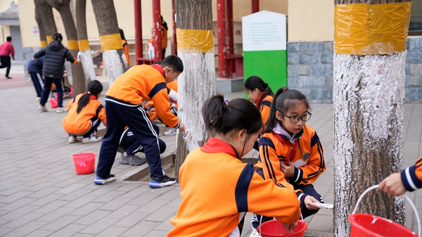 北京大兴八小获国际生态学校绿旗荣誉 成区域首个碳中和试点学校-第3张图片-芙蓉之城