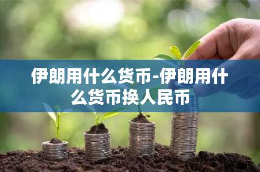 伊朗用什么货币-伊朗用什么货币换人民币-第1张图片-芙蓉之城