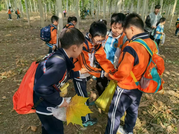 北京大兴八小获国际生态学校绿旗荣誉 成区域首个碳中和试点学校-第5张图片-芙蓉之城