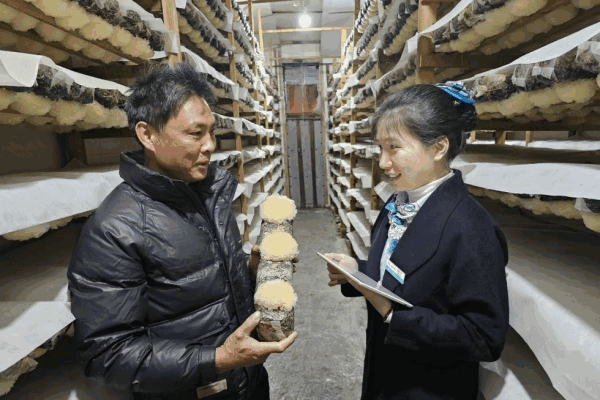 农行宁德分行：金融春雨润闽东 绘就春耕新图景-第1张图片-芙蓉之城