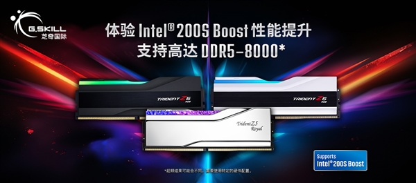芝奇 DDR5 超频内存支持 Intel 200S Boost 超频功能-第1张图片-芙蓉之城