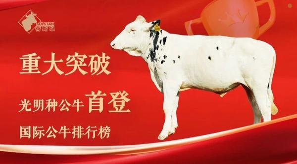全国唯一！光明乳业种公牛首登国际百强榜，实现中国奶牛育种历史性突破-第1张图片-芙蓉之城