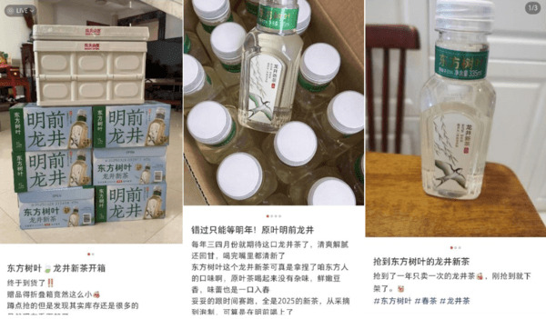 东方树叶“明前龙井”一瓶难求！这瓶茶有何魔力？-第2张图片-芙蓉之城