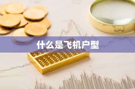 什么是飞机户型-第1张图片-芙蓉之城