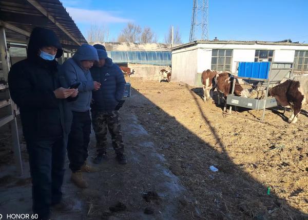 中国大地保险多措并举护航农业生产 助力乡村振兴战略-第1张图片-芙蓉之城