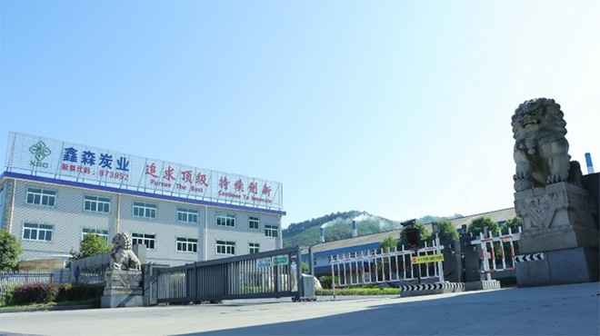 20 年磨一剑！鑫森炭业以 “硬科技” 立志于领跑全球高性能多孔炭材料-第1张图片-芙蓉之城
