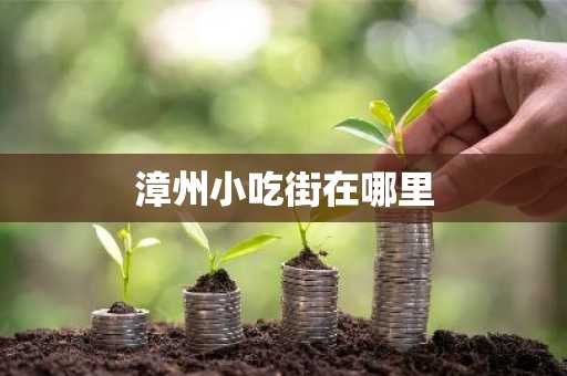 漳州小吃街在哪里-第1张图片-芙蓉之城