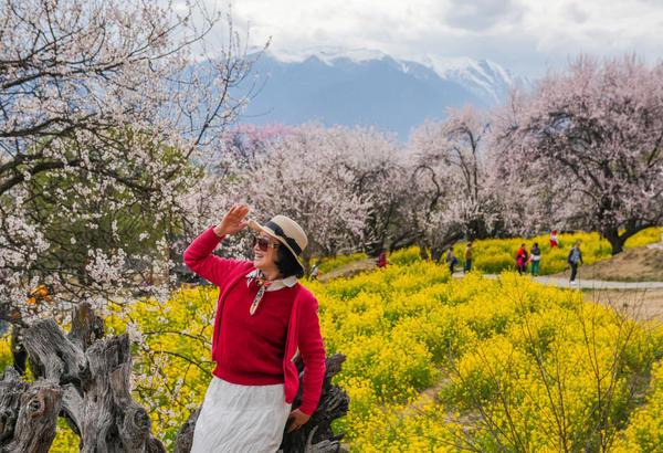灼灼桃花织就高原生态画卷-第6张图片-芙蓉之城
