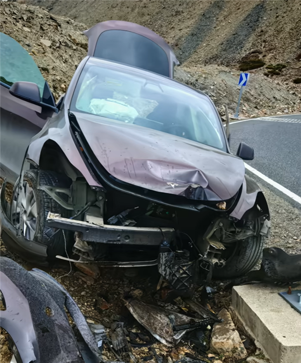 司机高反致特斯拉Model Y时速100冲出道路：没起火没爆炸-第2张图片-芙蓉之城