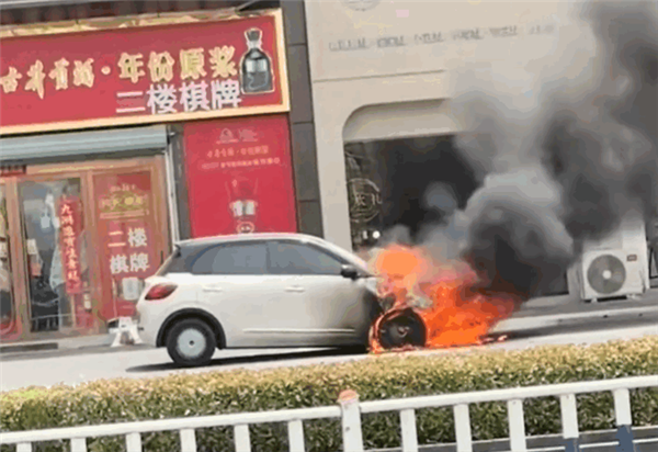 五菱缤果当街起火 整车被烧报废！车主：被邻居通知才知道车着了-第1张图片-芙蓉之城