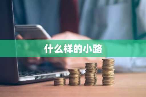 什么样的小路-第1张图片-芙蓉之城