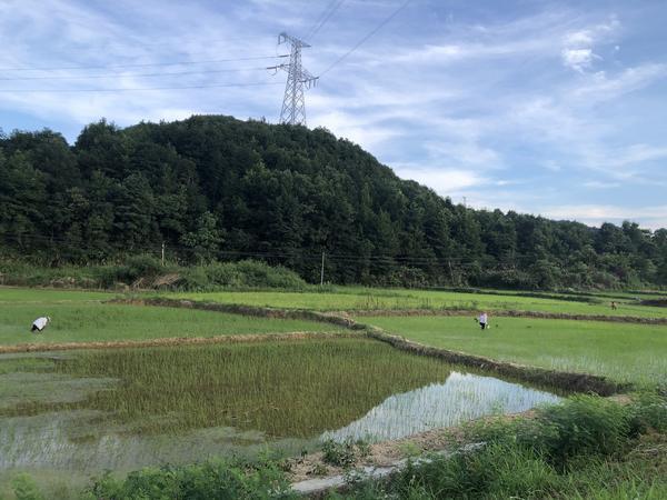 上饶银行“造血式”帮扶，蹚出乡村振兴新路-第1张图片-芙蓉之城