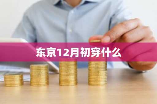 东京12月初穿什么-第1张图片-芙蓉之城