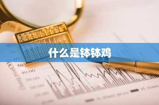什么是钵钵鸡-第1张图片-芙蓉之城