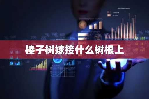 榛子树嫁接什么树根上-第1张图片-芙蓉之城