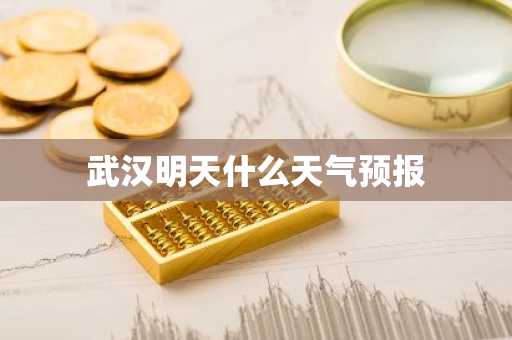 武汉明天什么天气预报-第1张图片-芙蓉之城