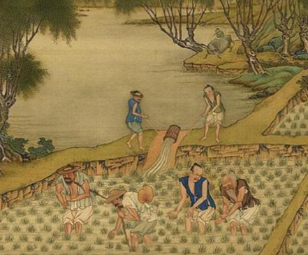 探寻古代土地改良之道，提升粮食产量之策-第1张图片-芙蓉之城