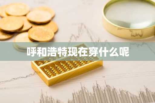 呼和浩特现在穿什么呢-第1张图片-芙蓉之城
