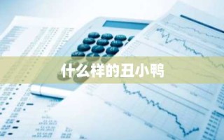 什么样的丑小鸭